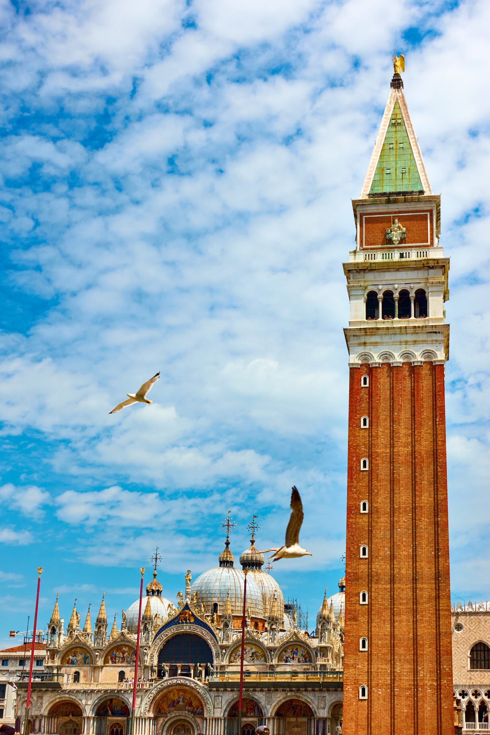 The Campanile in St Mark's Square, Venice