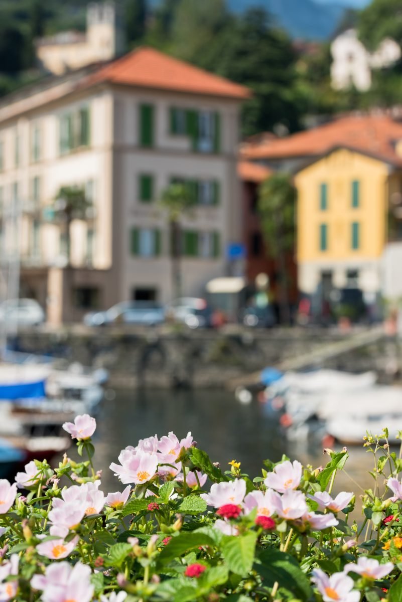Flowers by Lake Como