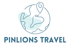 pinlions.com