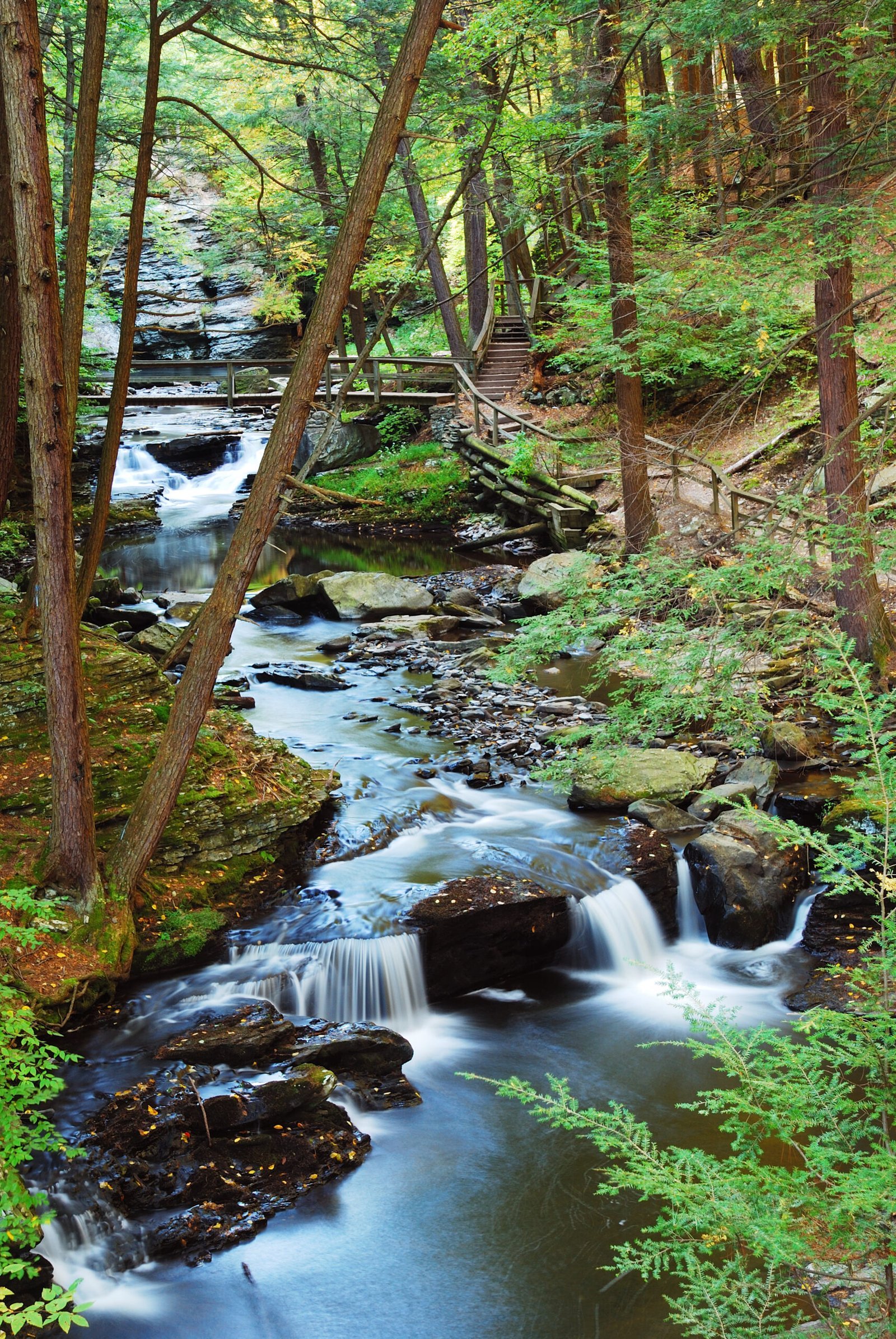 Forest creek with hiking trails through autumn woods at Delaware Water Gap New Jersey