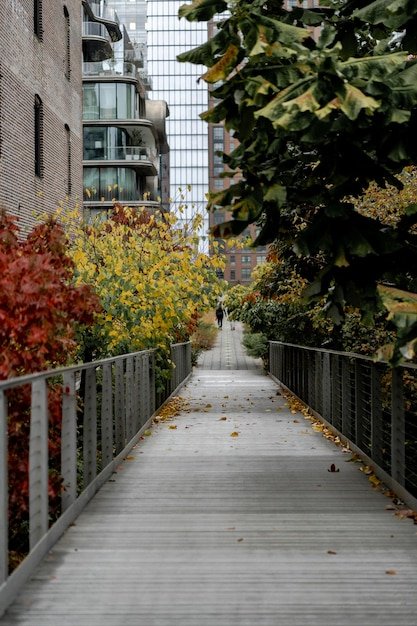 The High Line elevated park, New York City