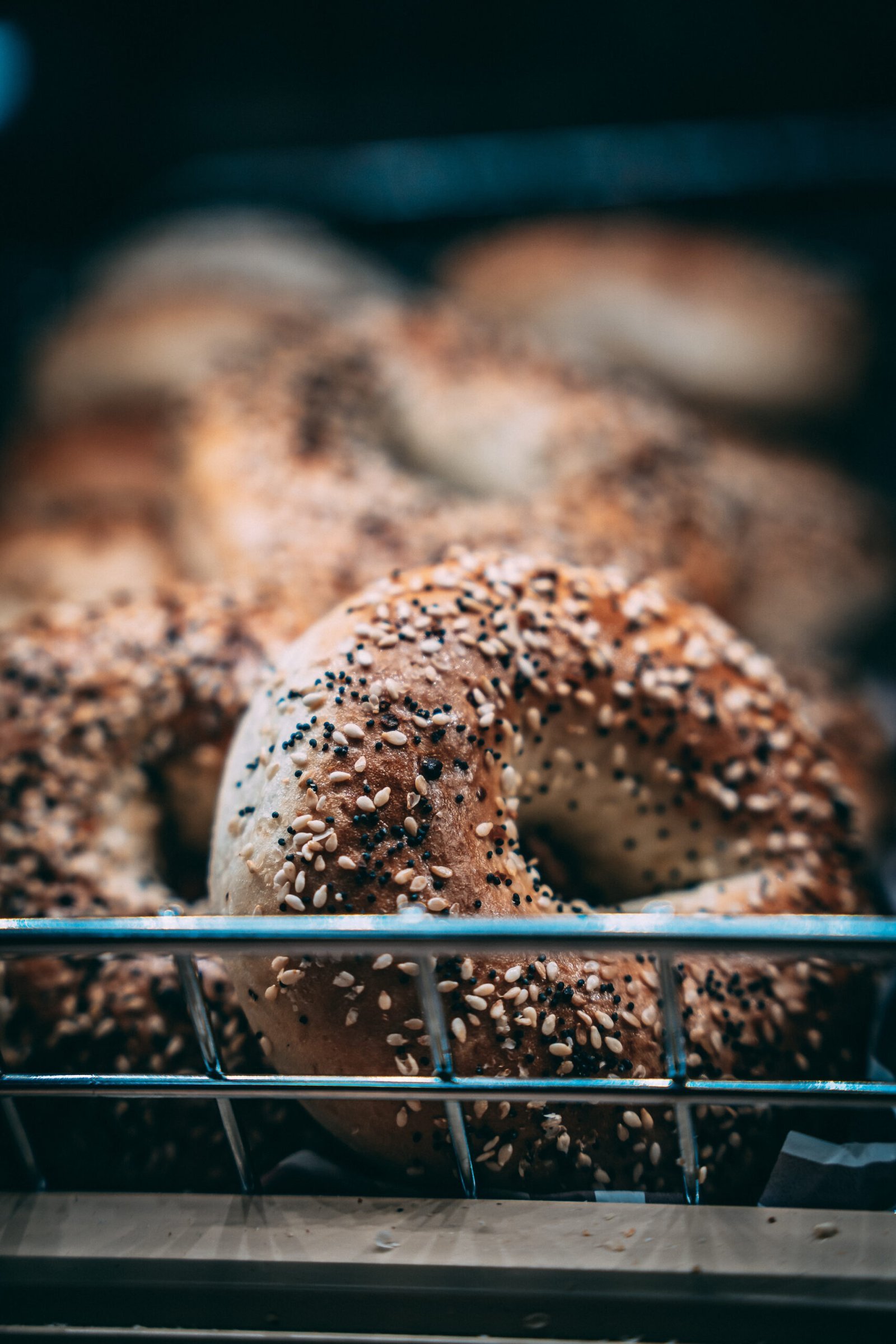 Classic New York bagels covered in sesame seeds