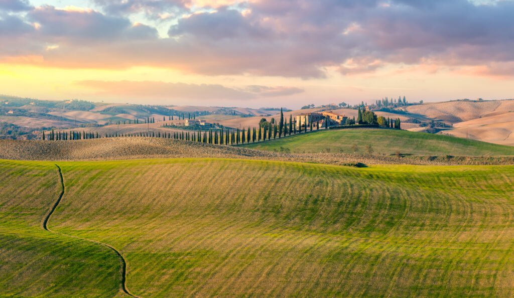 Panoramic view of the Tuscan countryside with rolling hills and cypress-lined rural road