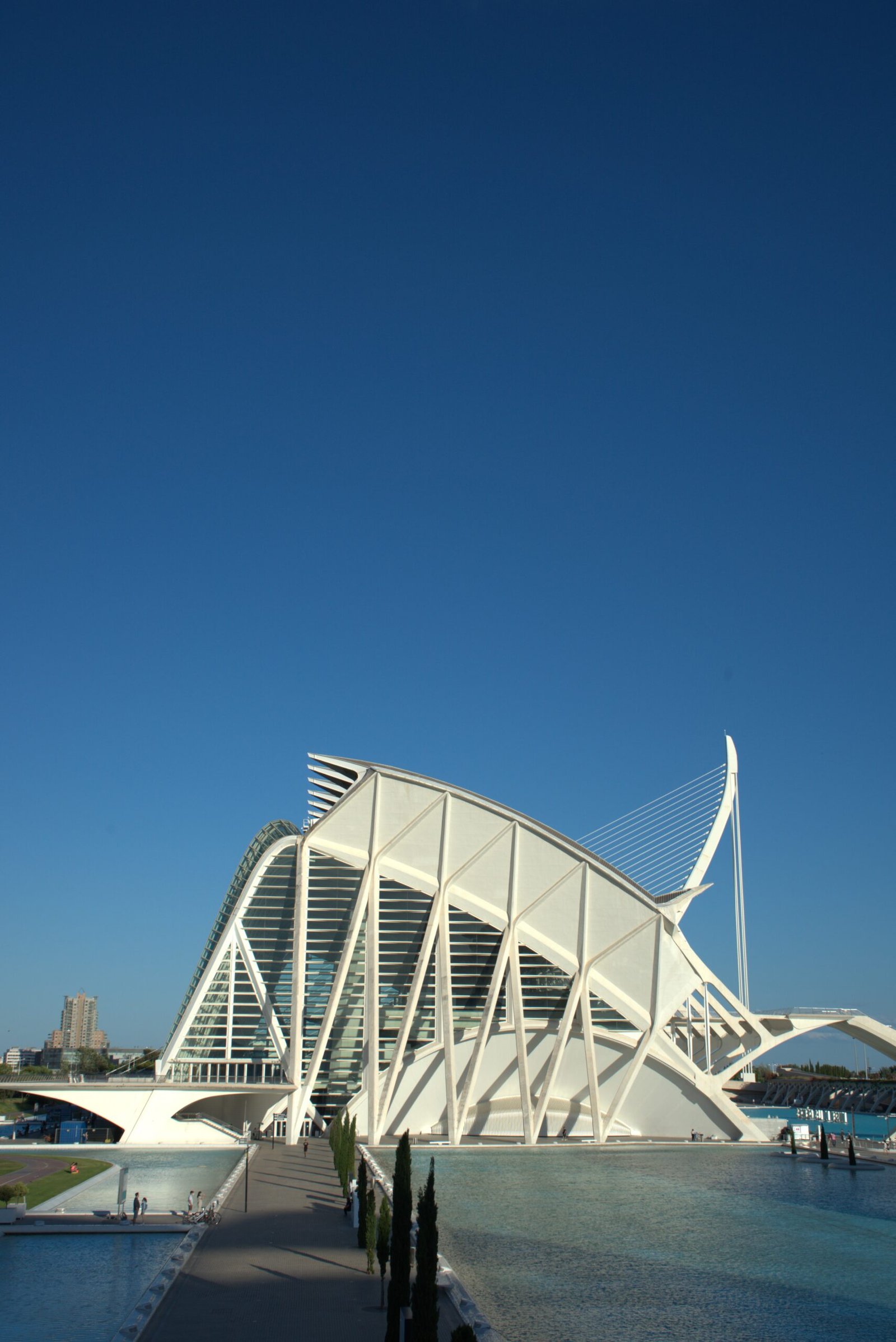 Vertical shot of the City of Arts and Sciences in Valencia, Spain