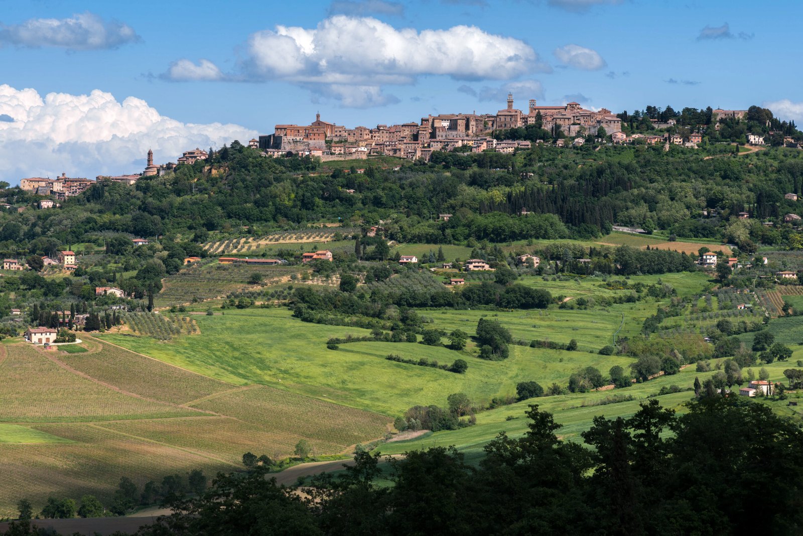 A view of Montepulciano, a hilltop wine town in Tuscany