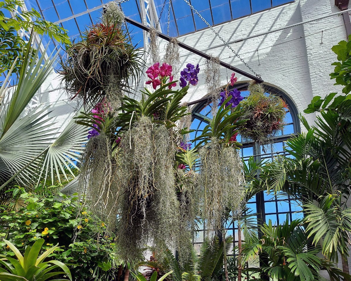 The conservatory in the gardens of the Biltmore Estate