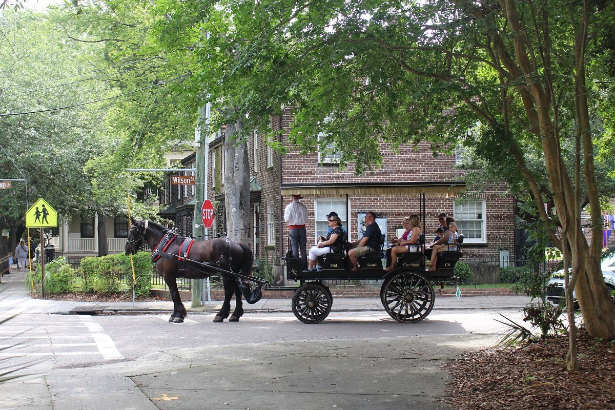 A horse-drawn carriage tour on a historic Charleston street