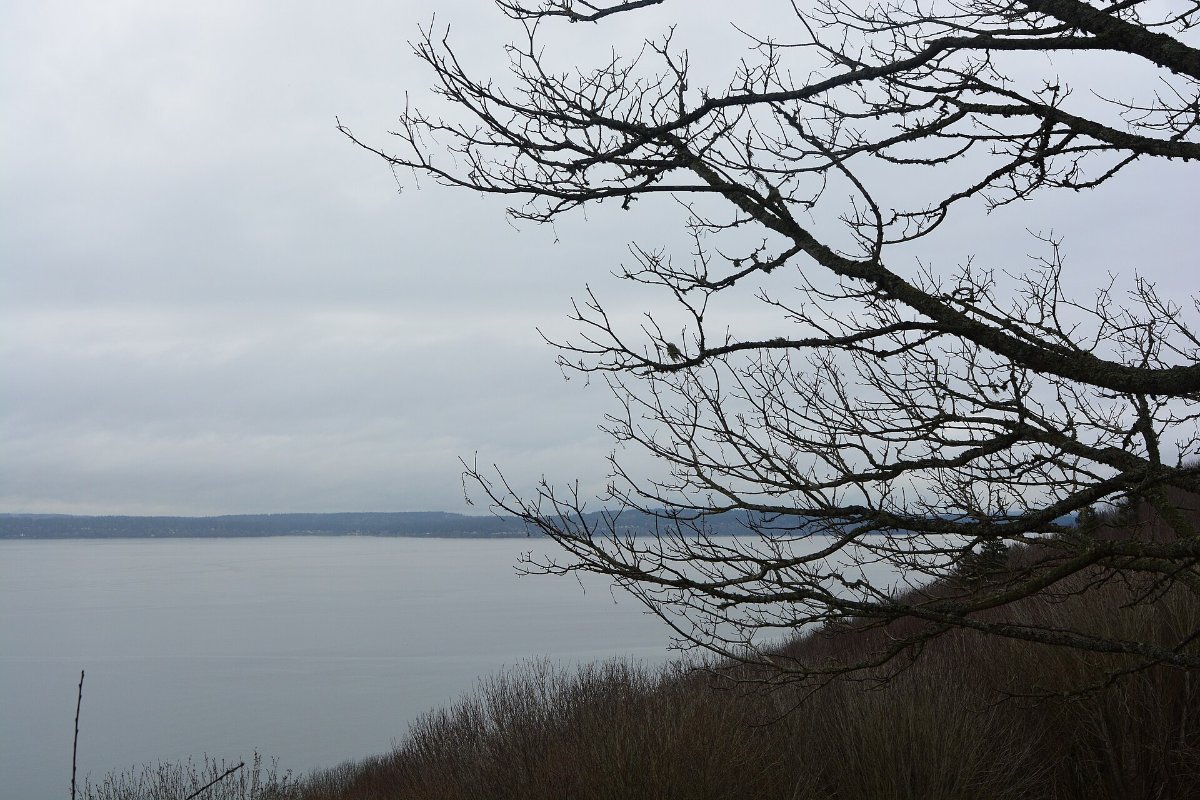 Discovery Park on the western edge of Seattle