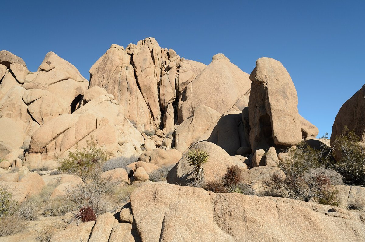 Joshua Tree National Park, an hour from Palm Springs