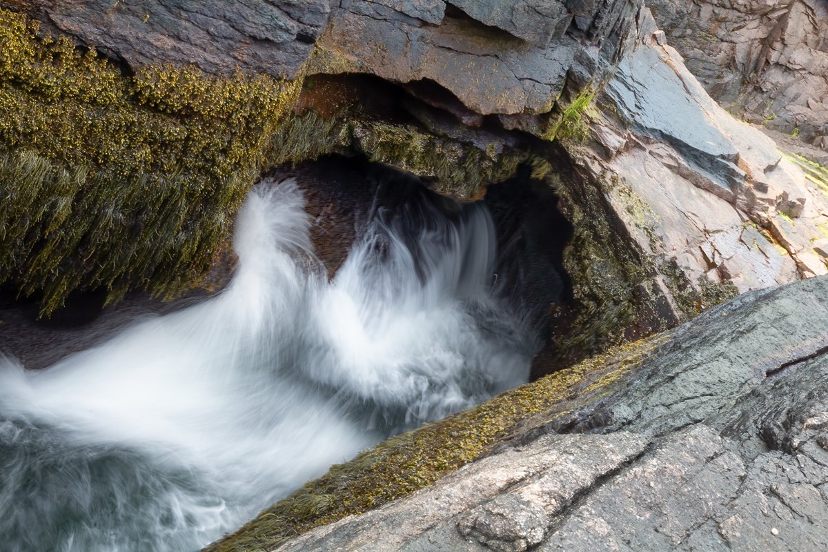 The rocky shore near Thunder Hole on the Park Loop Road