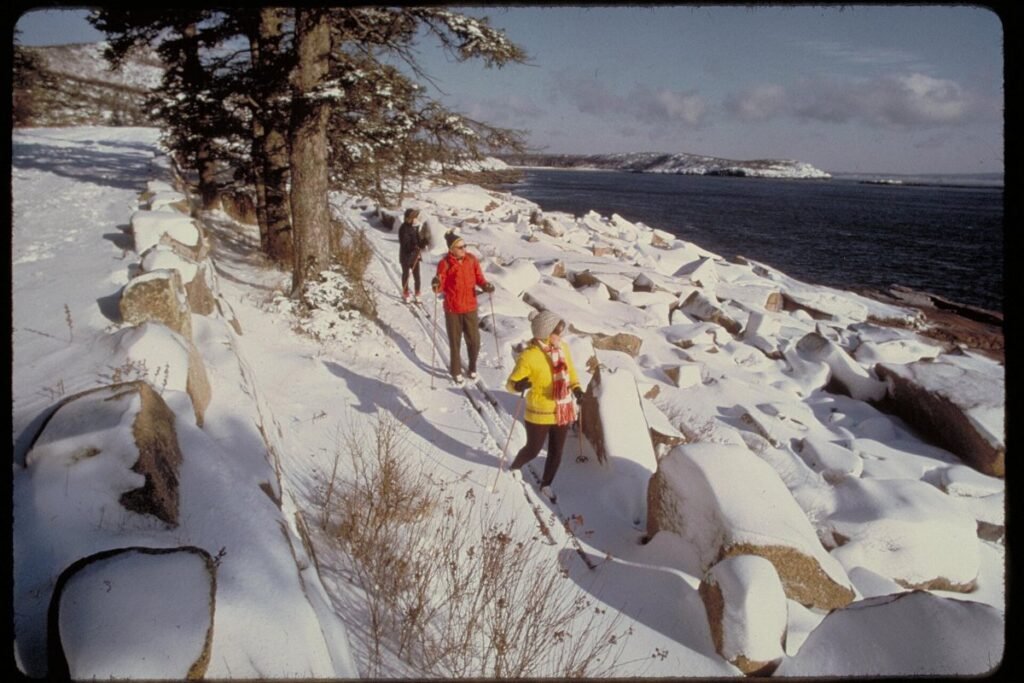 The granite coastline of Acadia National Park in Maine