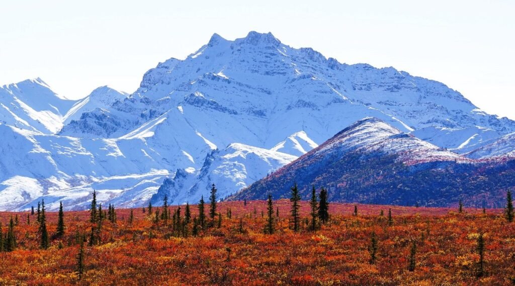 Mountains in Denali National Park, Alaska
