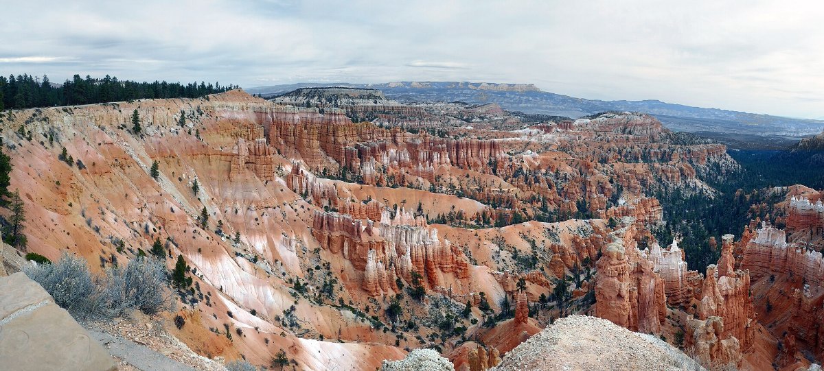 Hoodoo rock spires at sunrise in Bryce Canyon, Utah