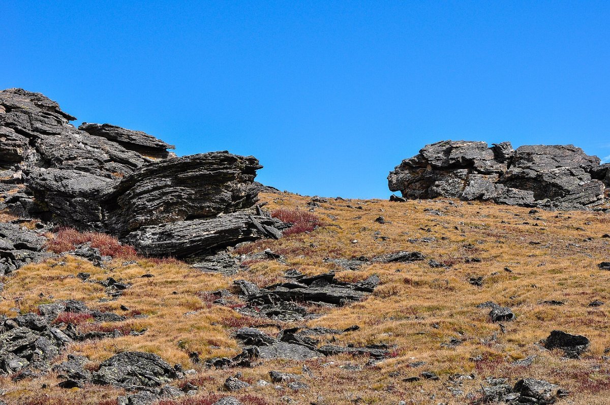Trail Ridge Road, the highest paved through road in the US