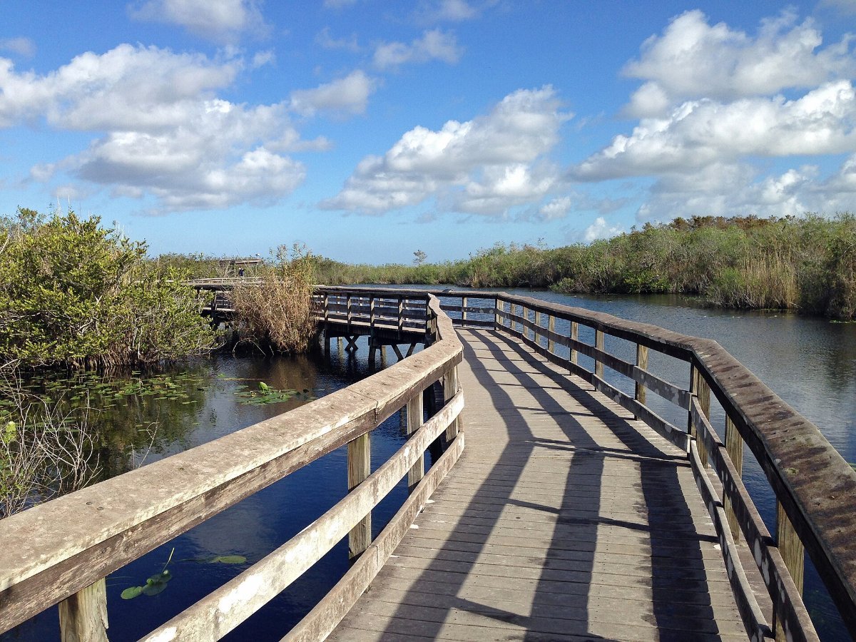 The Anhinga Trail boardwalk in Everglades National Park