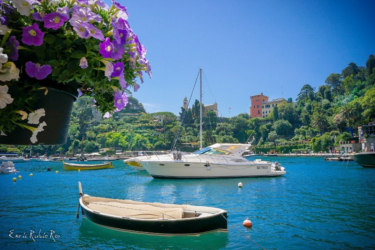 The harbour at Portofino in Liguria