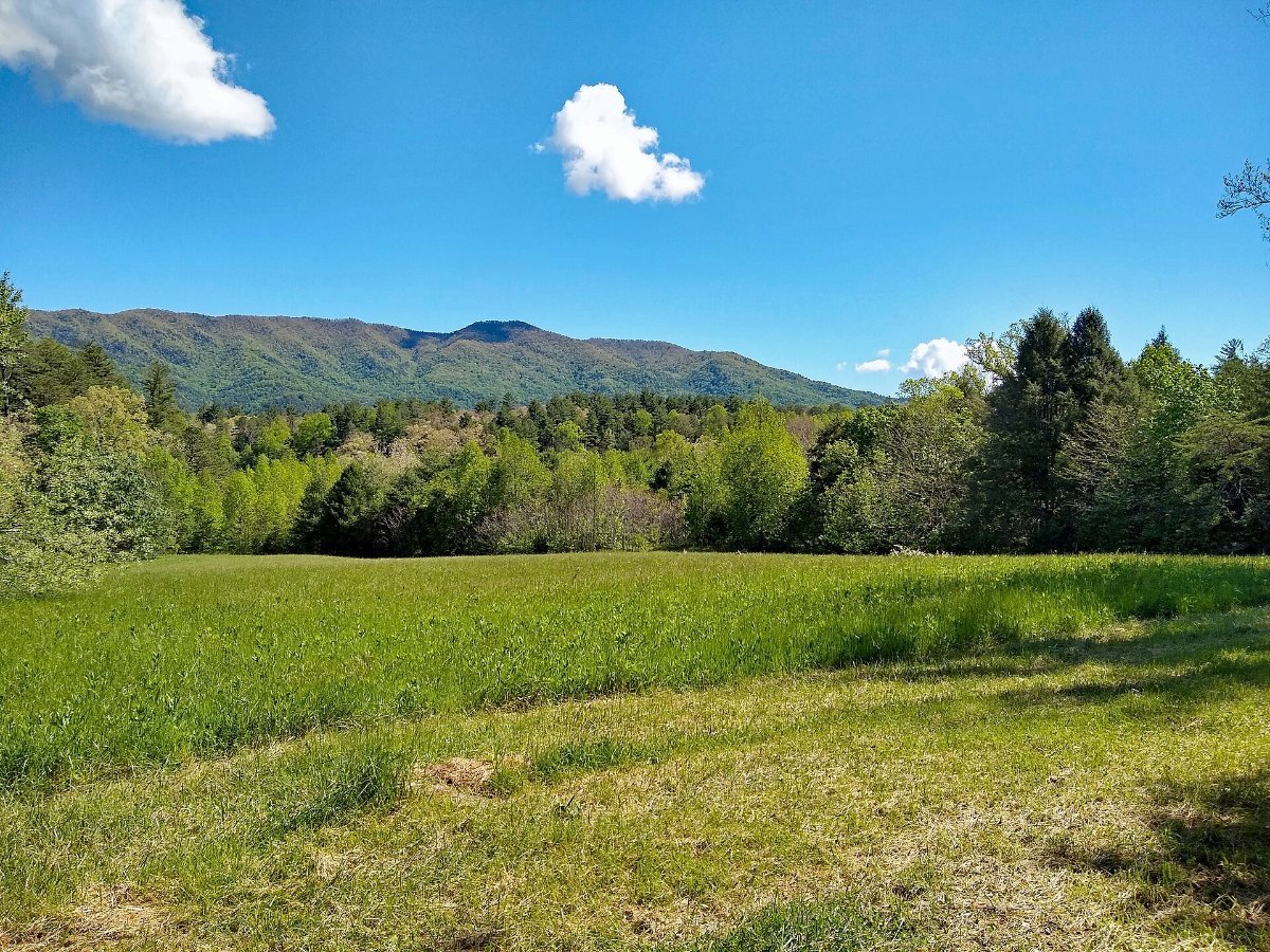The open valley floor of Cades Cove
