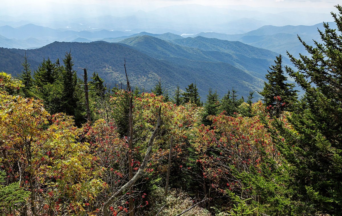 The view east from Clingmans Dome, the highest point in the park