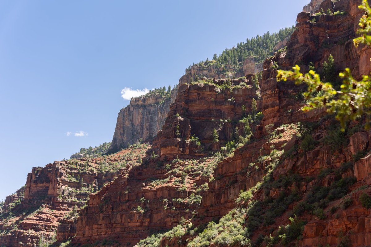 The quieter, higher North Rim of the Grand Canyon