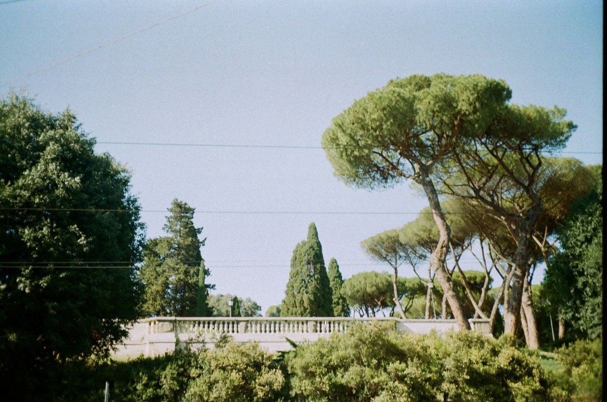 Autumn colour in Rome's parks