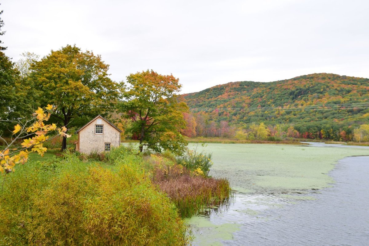 Rolling autumn countryside in the Berkshires of Massachusetts