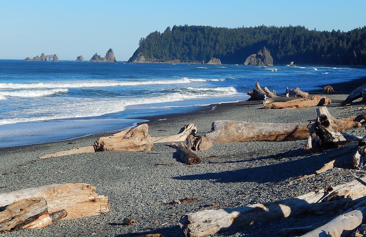 Driftwood piled along Rialto Beach
