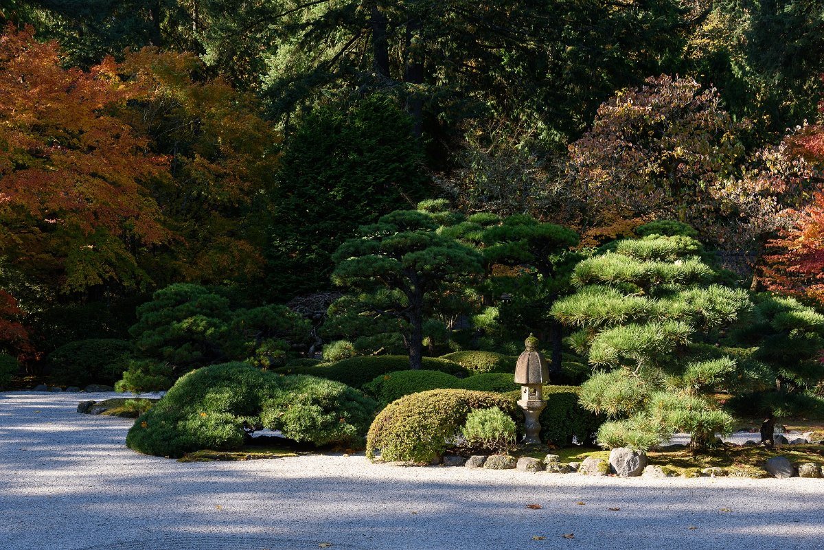 The Japanese Garden in Washington Park