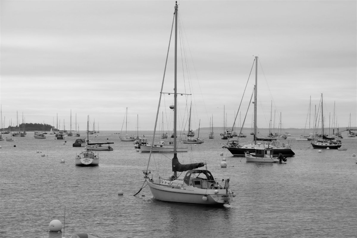 Boats anchored at Camden harbour, Maine