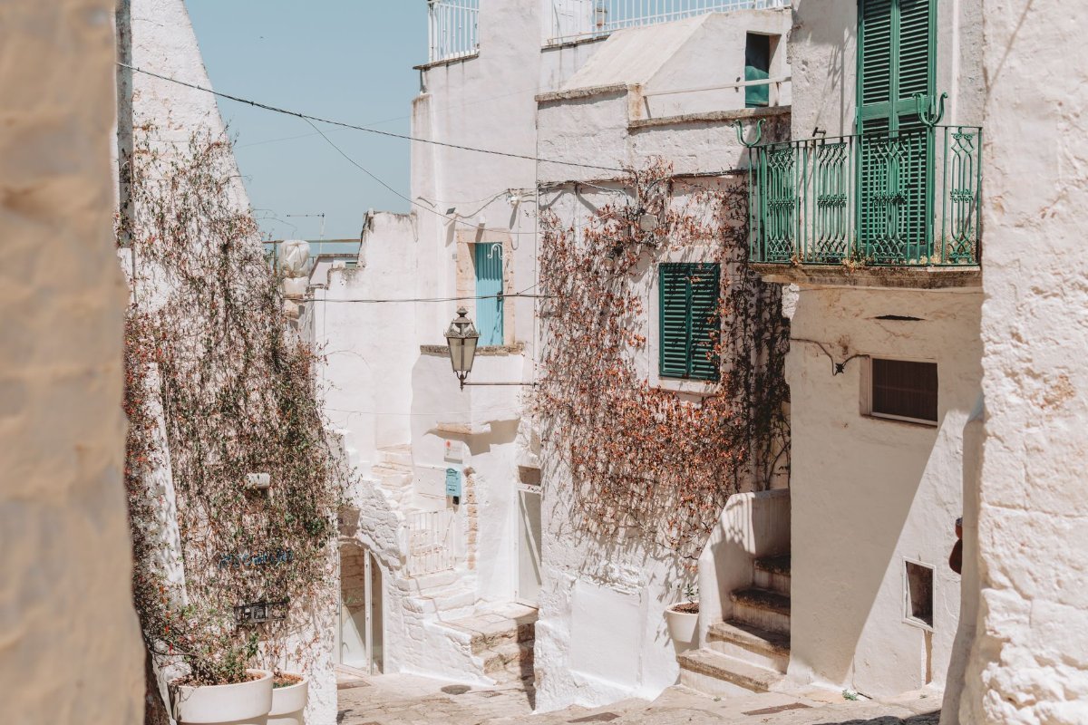 Ostuni, the white town above the olive groves