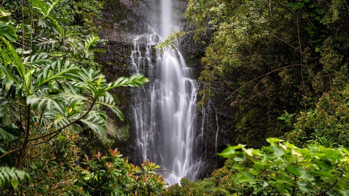 A roadside waterfall on the Road to Hana, Maui