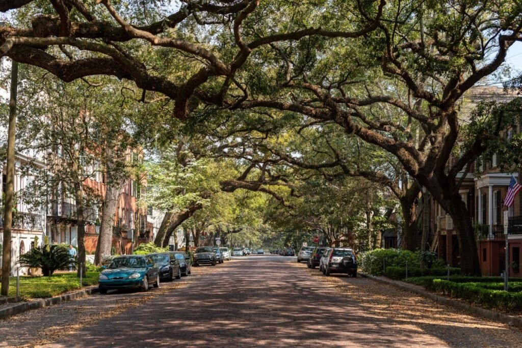 Savannah's historic district under its canopy of live oaks