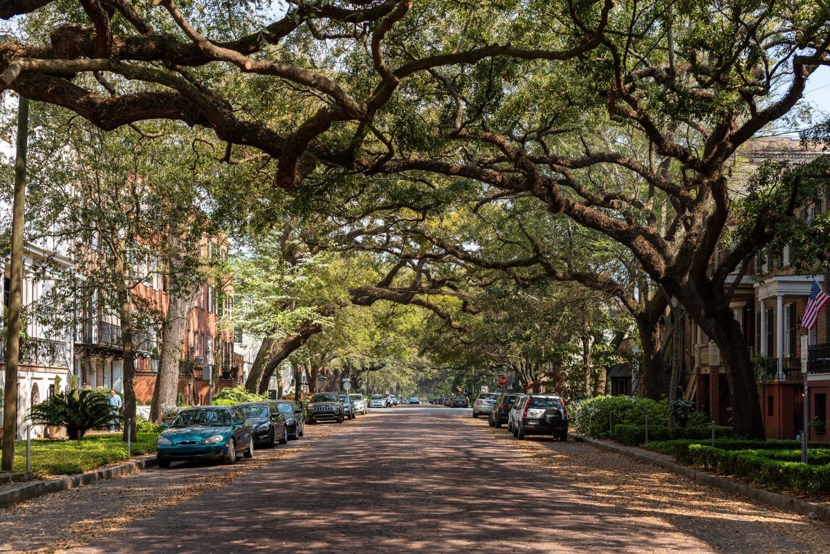 Savannah's historic district under its canopy of live oaks