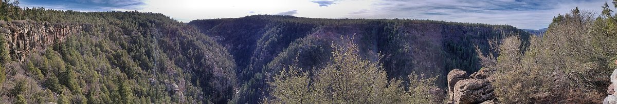 The wooded switchbacks of Oak Creek Canyon north of Sedona