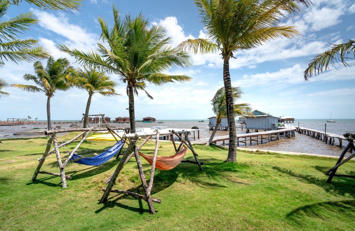 Hammocks under palm trees by the sea