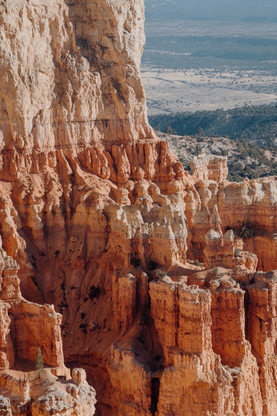 Red rock formations in the desert canyon country