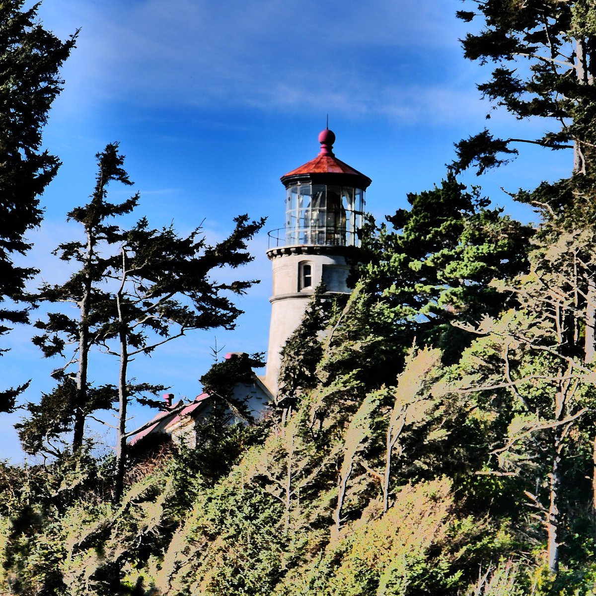 Heceta Head Lighthouse on the central coast