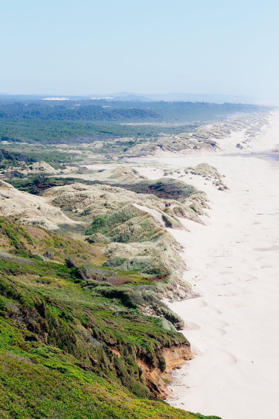 The shore at Oregon Dunes National Recreation Area