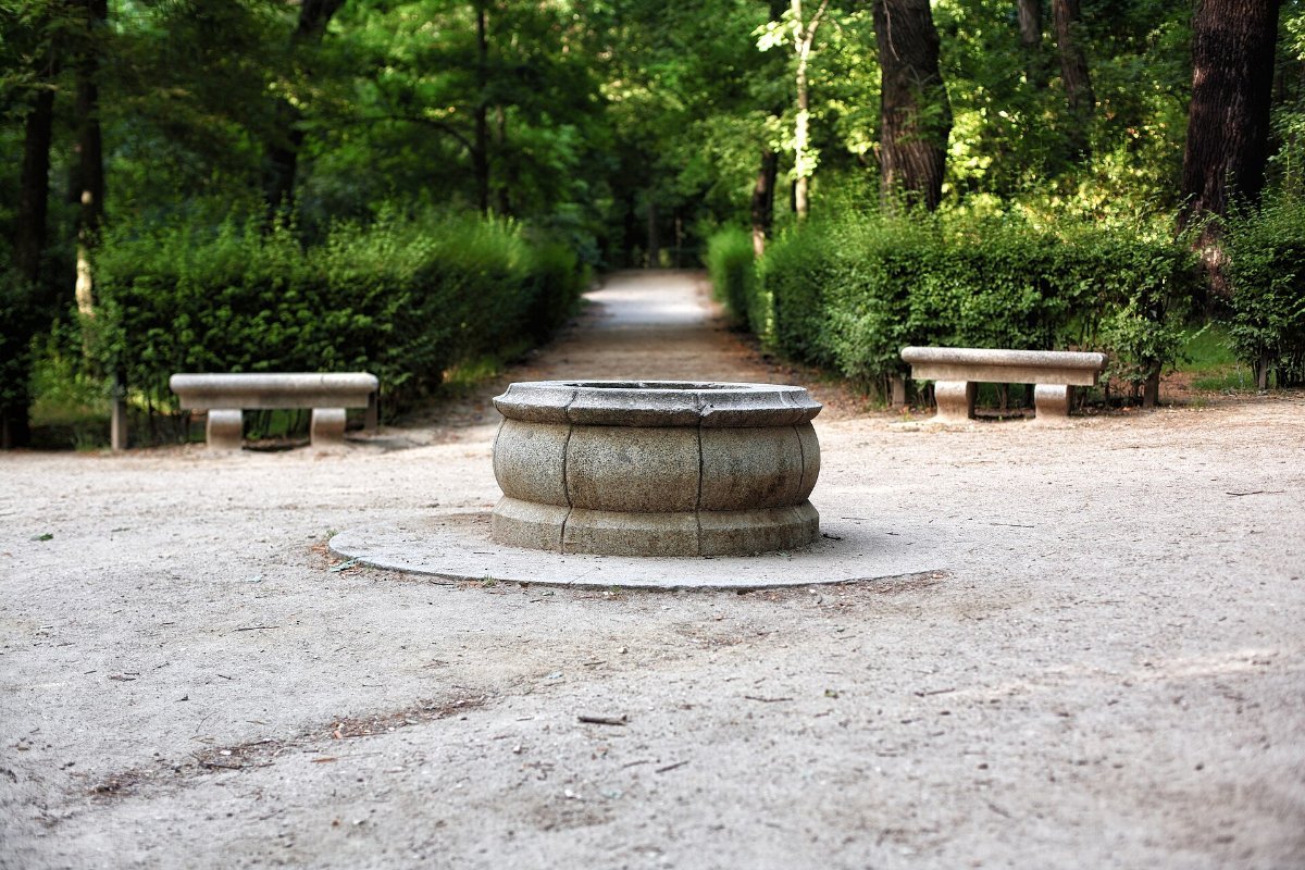 The Retiro park in the middle of Madrid