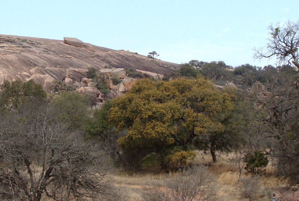 The granite dome of Enchanted Rock