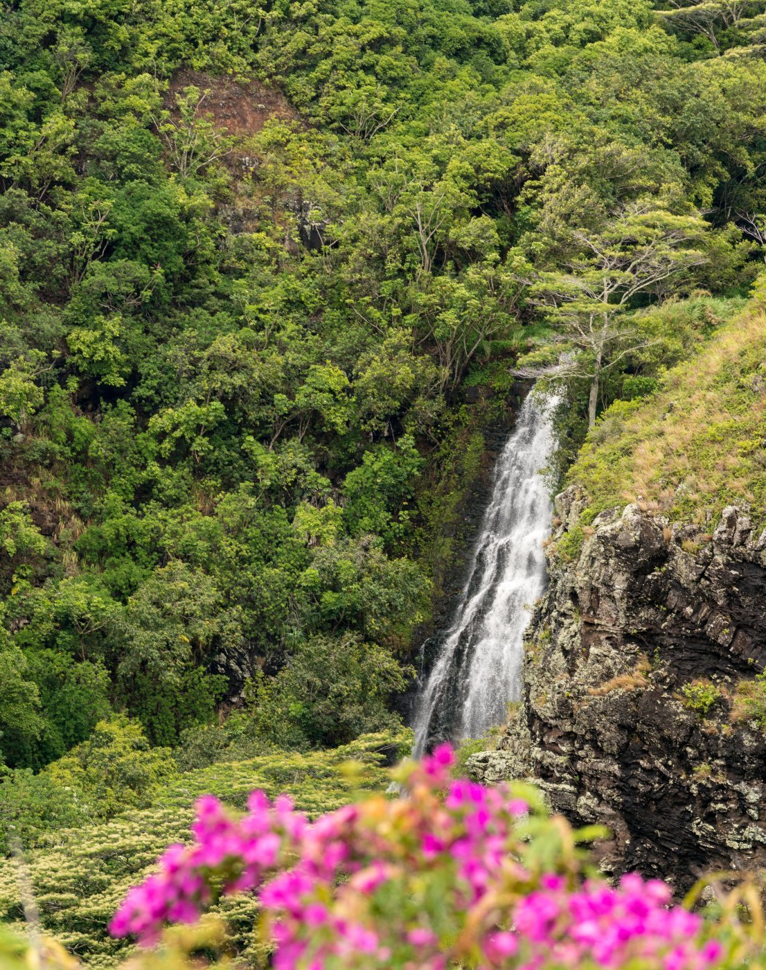 Opaekaa Falls on the island of Kauai
