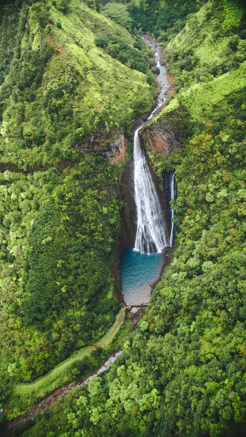 A waterfall in the forest on Kauai