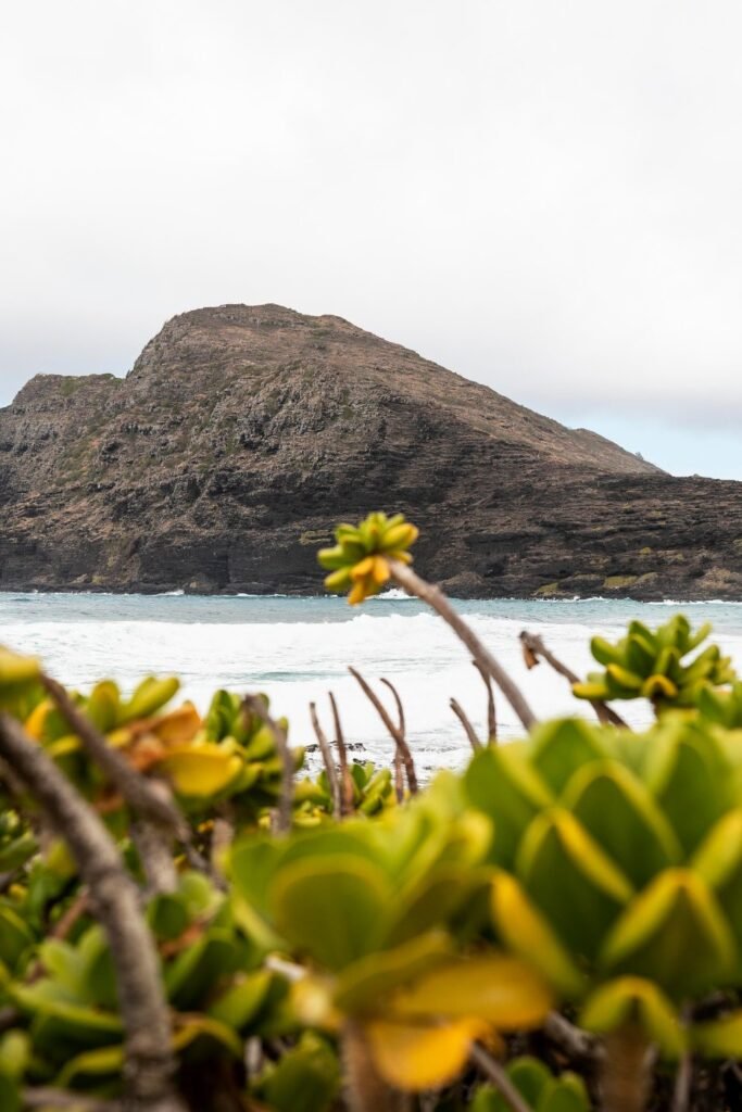 The Hawaiian coastline and blue Pacific