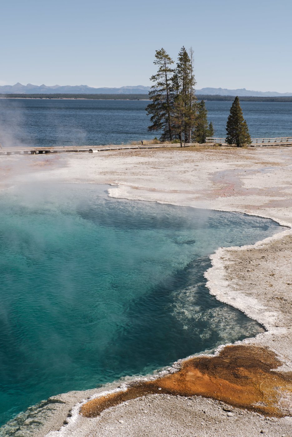 The Yellowstone landscape in high summer