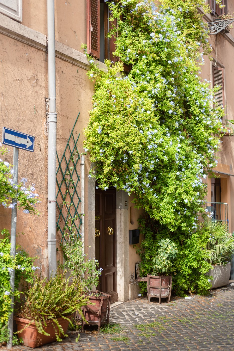 Carved wooden doors on a street in the Trastevere area of Rome