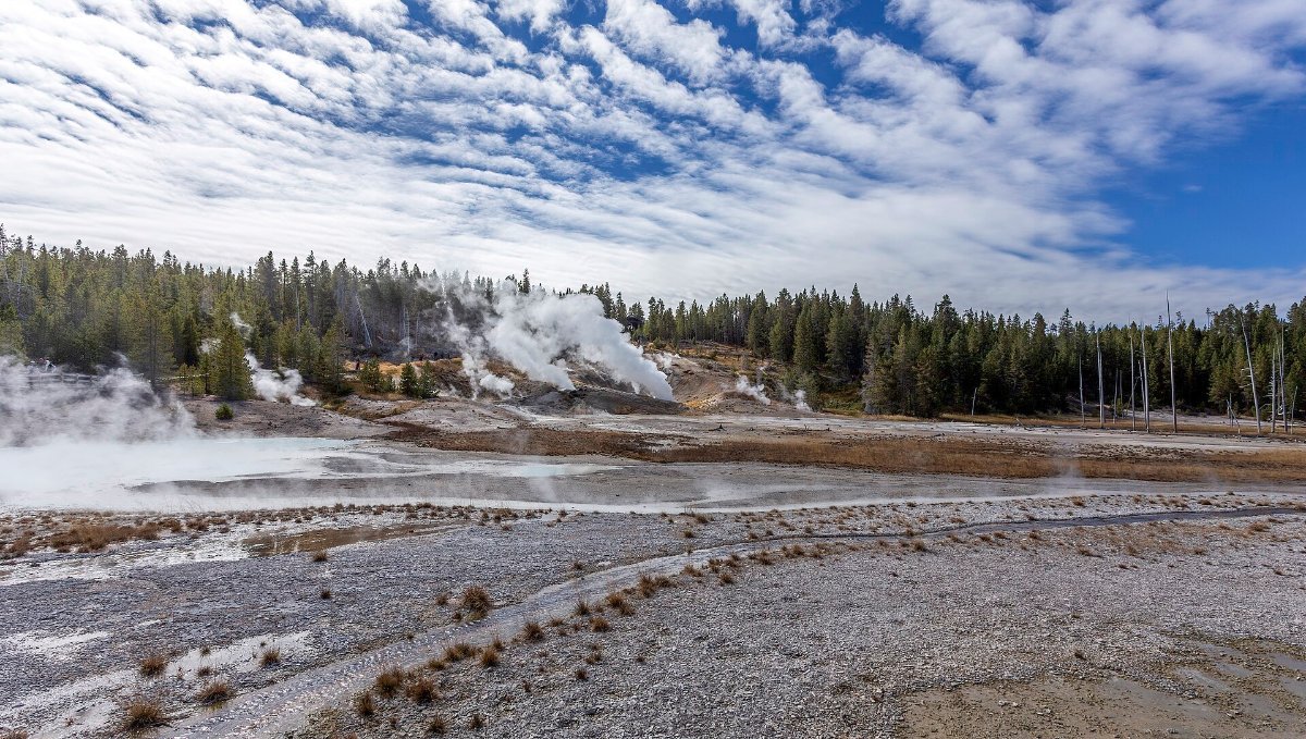 Steam rising across the Norris Geyser Basin