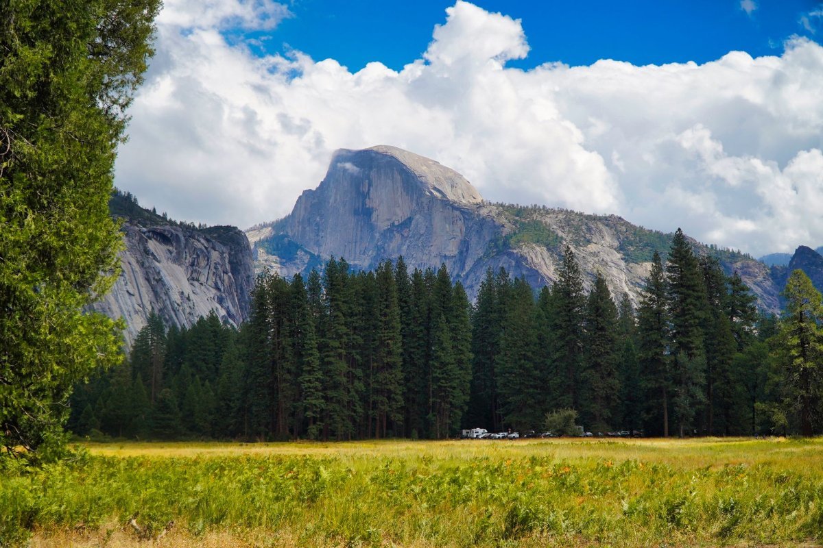 Half Dome seen from the floor of Yosemite Valley