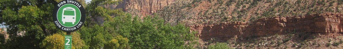 The floor of Zion Canyon beneath its sandstone walls
