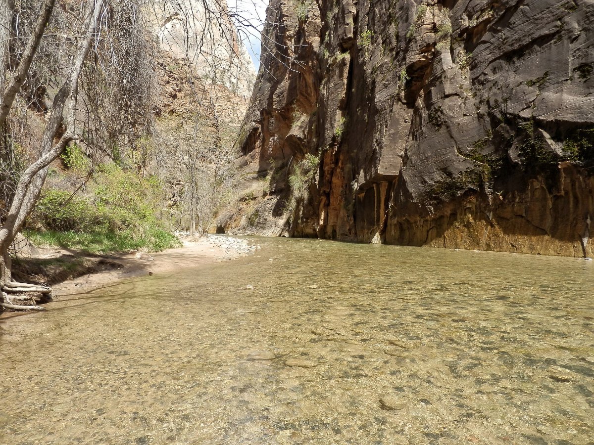 Hikers wading the Virgin River through The Narrows