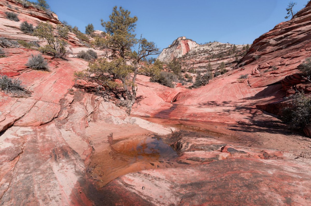 The Emerald Pools trail on the west side of Zion Canyon