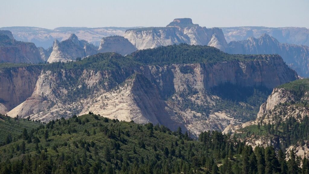 The red canyon walls of Zion National Park in Utah